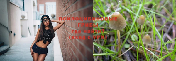альфа пвп Лагань