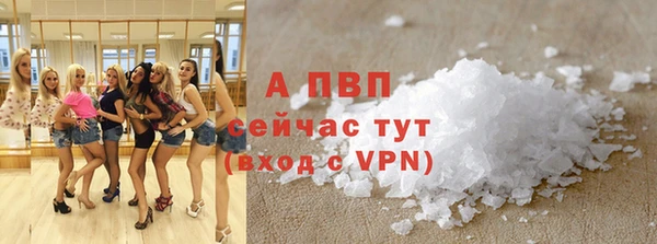 ECSTASY Лабытнанги